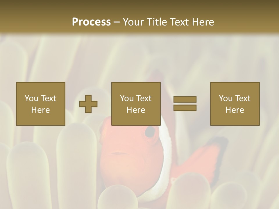 Hide Borneo Wildlife PowerPoint Template