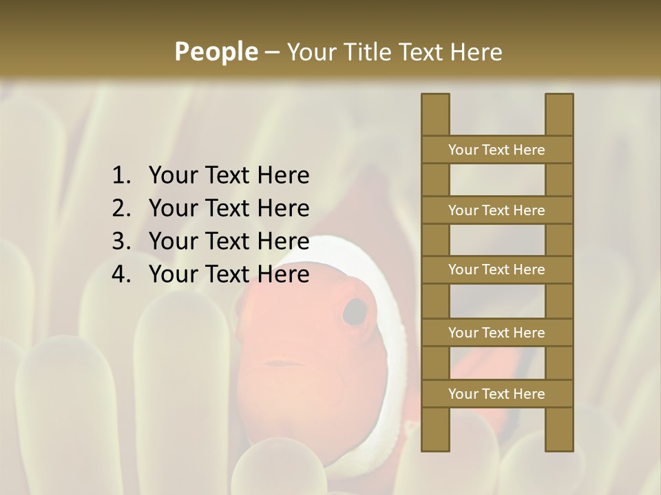 Hide Borneo Wildlife PowerPoint Template