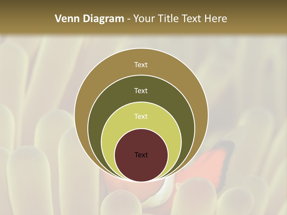 Hide Borneo Wildlife PowerPoint Template