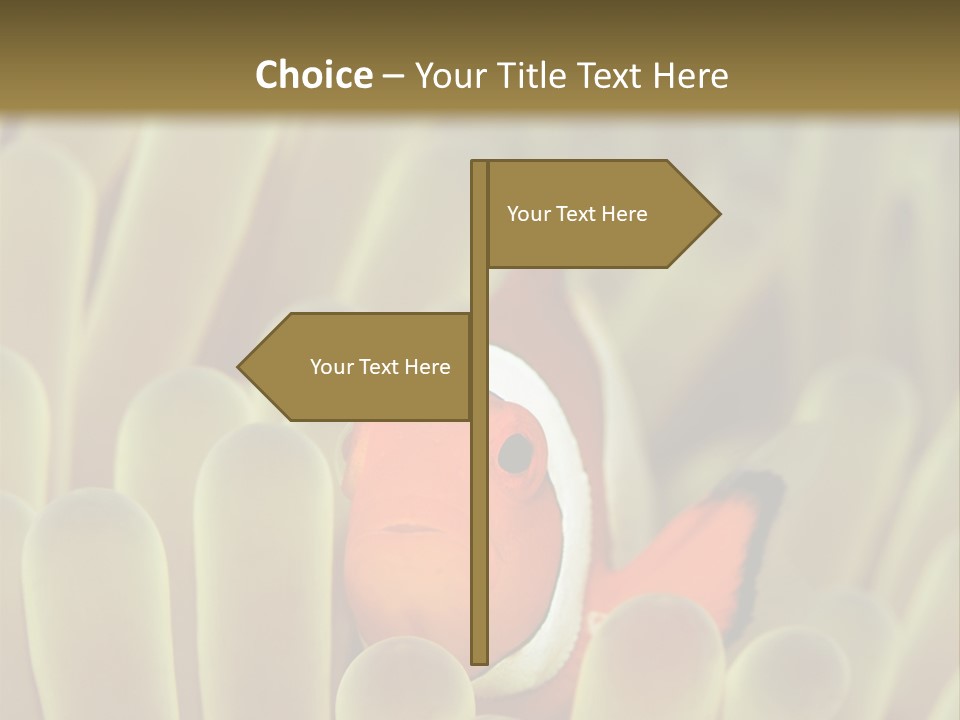 Hide Borneo Wildlife PowerPoint Template