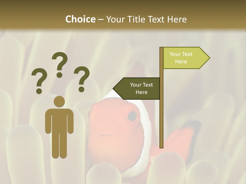 Hide Borneo Wildlife PowerPoint Template