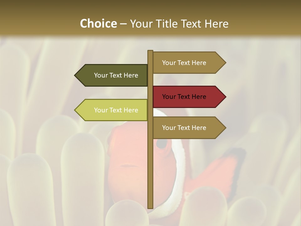 Hide Borneo Wildlife PowerPoint Template