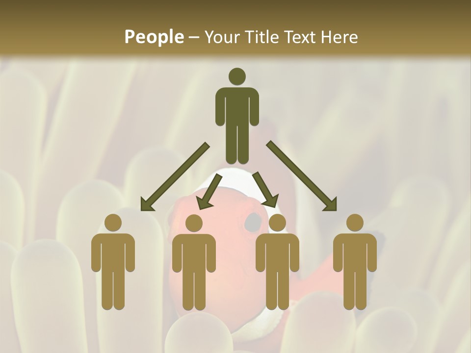 Hide Borneo Wildlife PowerPoint Template