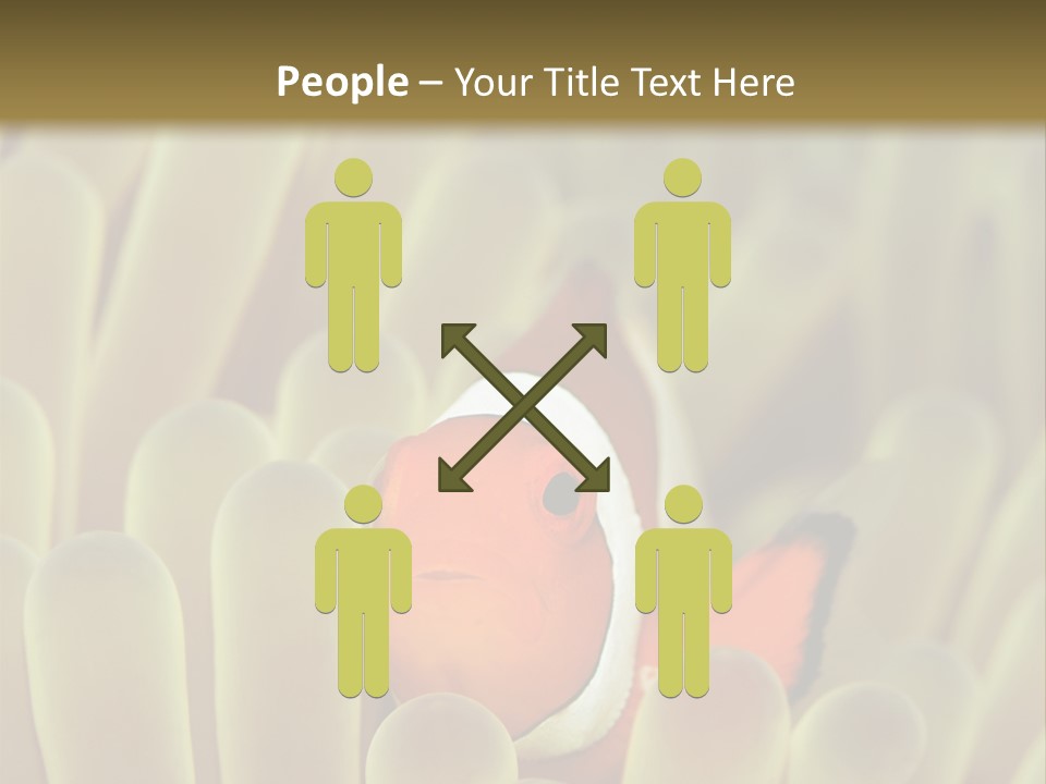 Hide Borneo Wildlife PowerPoint Template