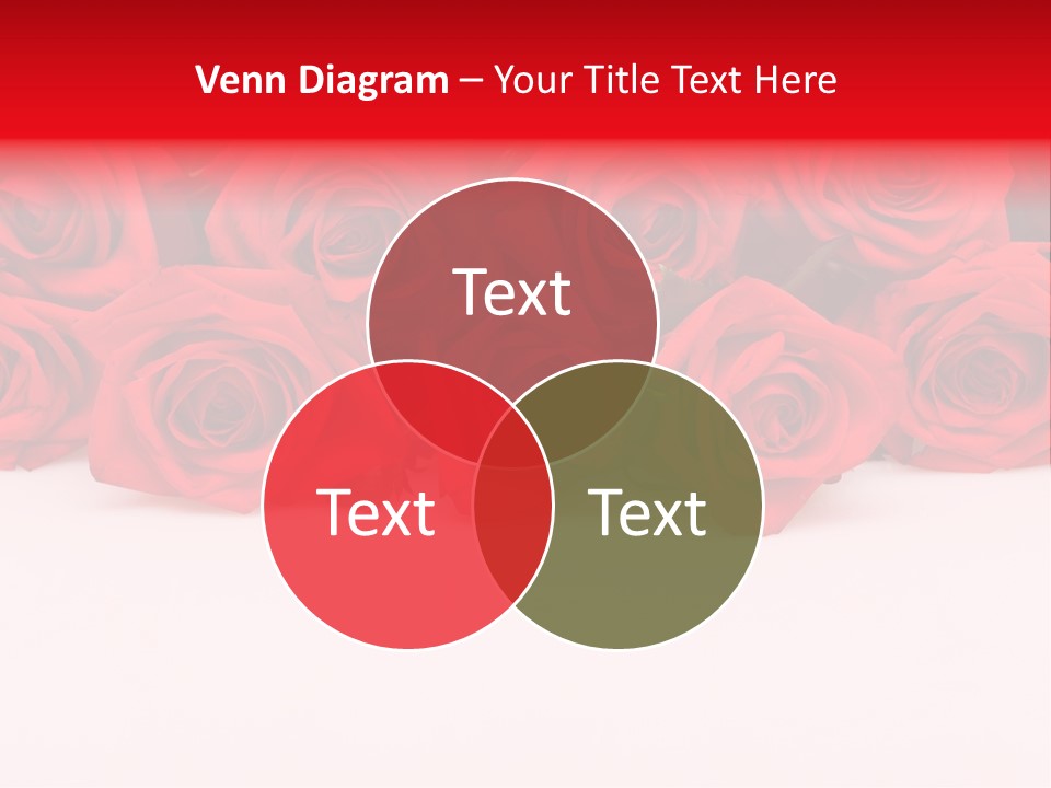 Leaf Isolated Gift PowerPoint Template