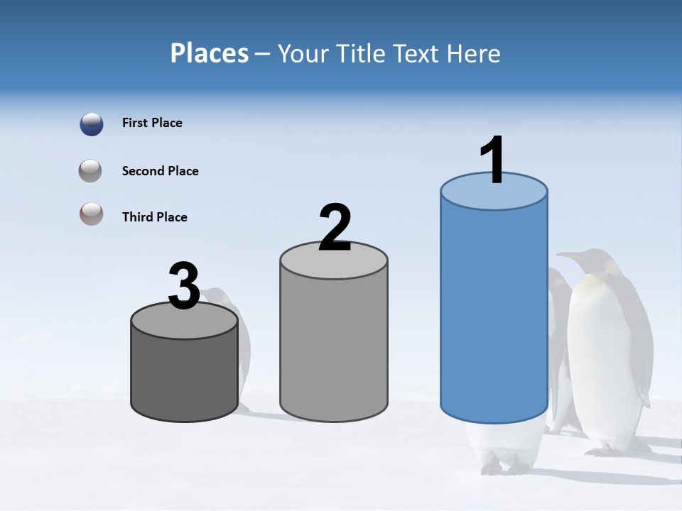 A Group Of Penguins Standing Next To Each Other PowerPoint Template