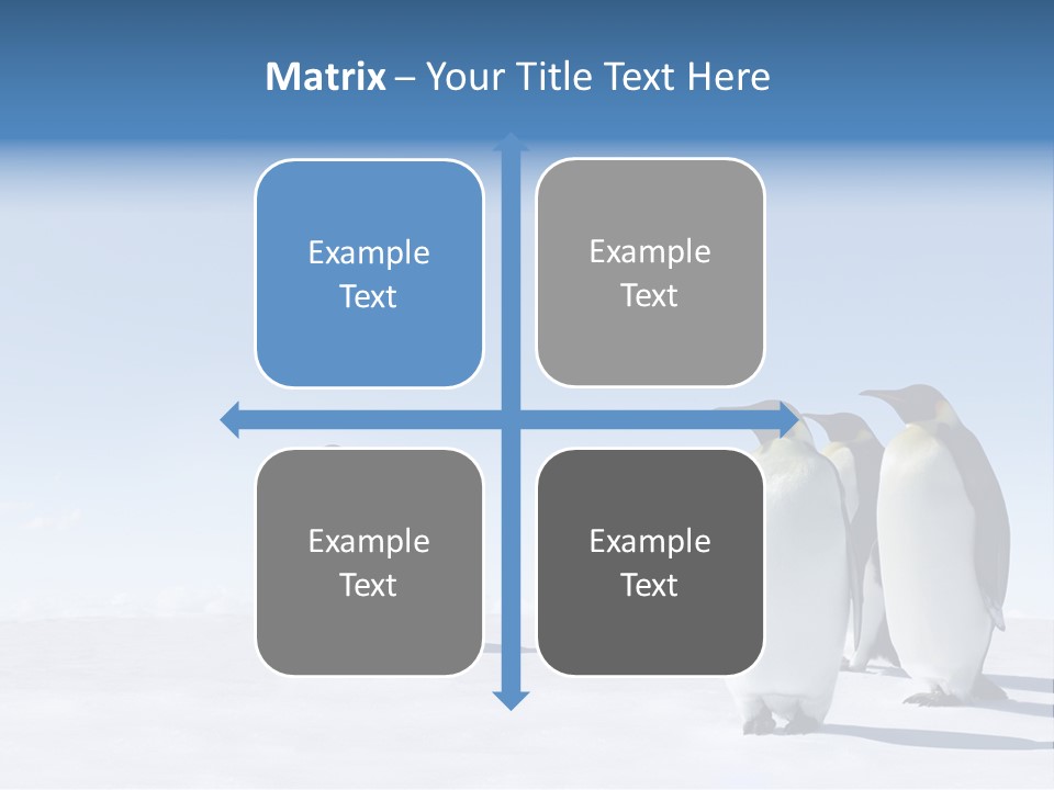 A Group Of Penguins Standing Next To Each Other PowerPoint Template