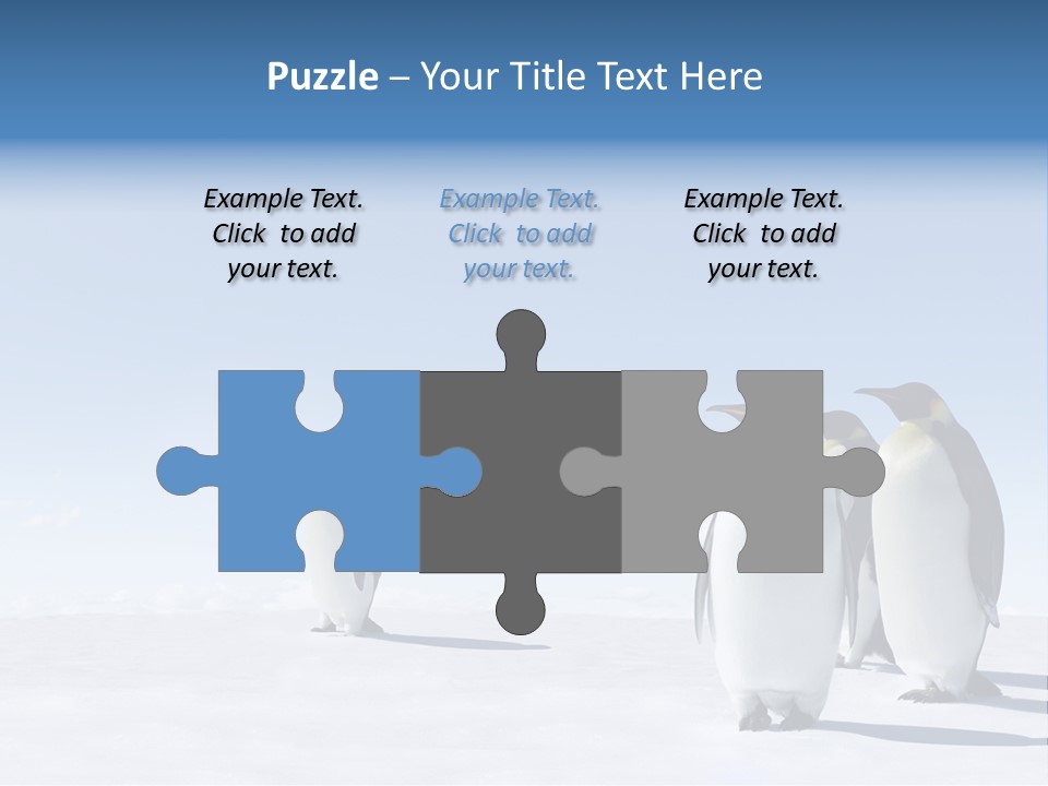 A Group Of Penguins Standing Next To Each Other PowerPoint Template