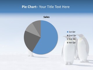 A Group Of Penguins Standing Next To Each Other PowerPoint Template