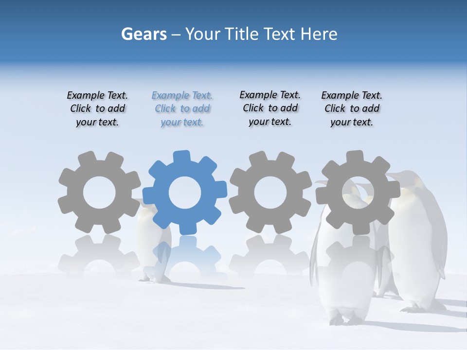 A Group Of Penguins Standing Next To Each Other PowerPoint Template