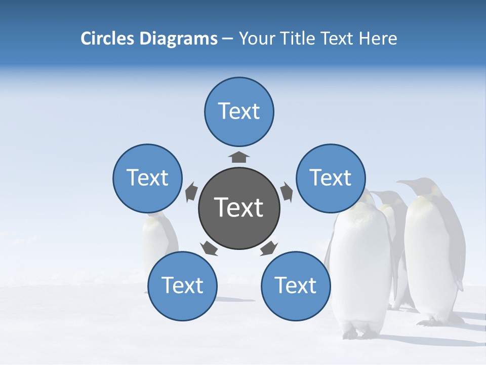 A Group Of Penguins Standing Next To Each Other PowerPoint Template