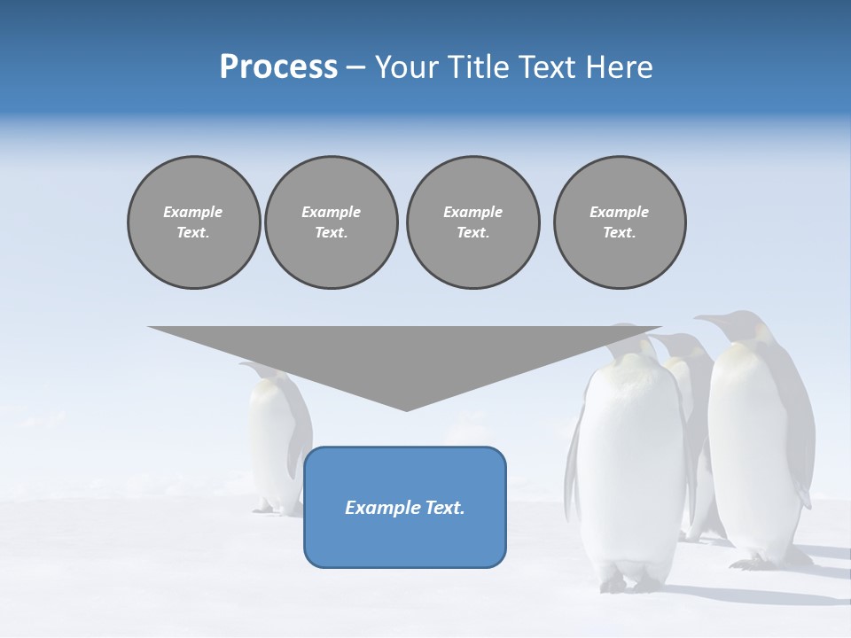 A Group Of Penguins Standing Next To Each Other PowerPoint Template
