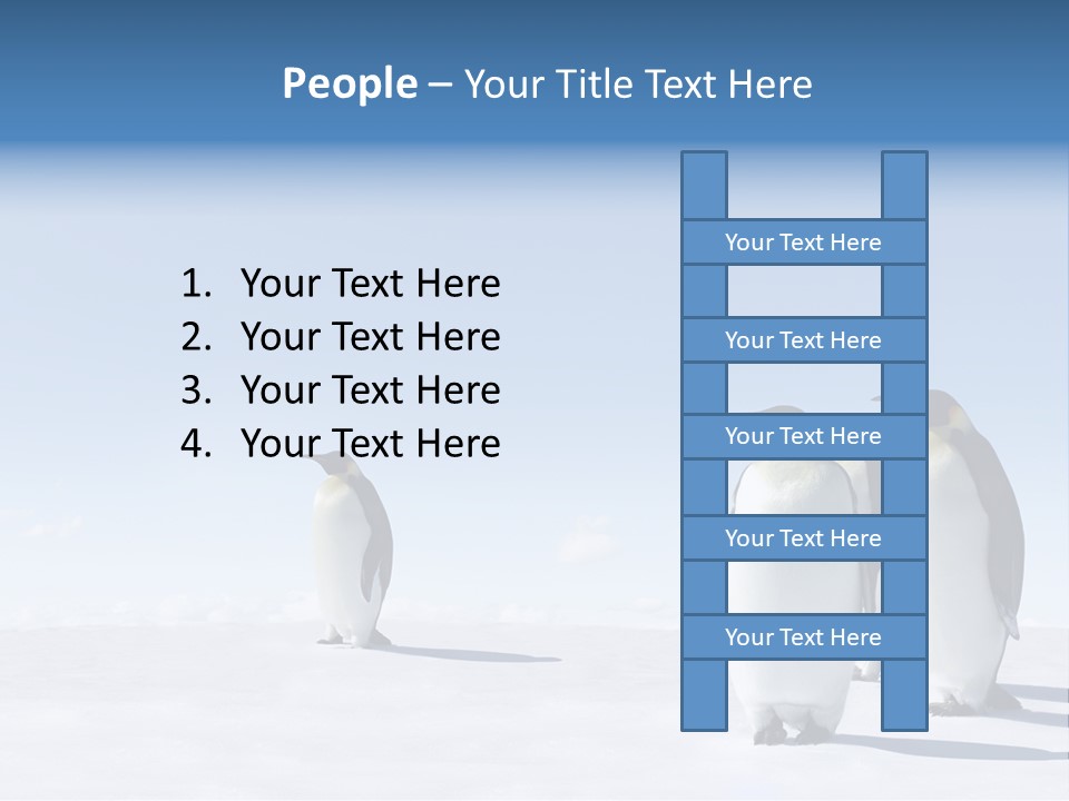 A Group Of Penguins Standing Next To Each Other PowerPoint Template