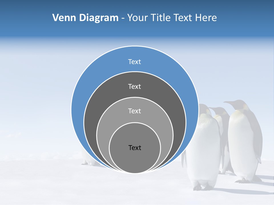 A Group Of Penguins Standing Next To Each Other PowerPoint Template