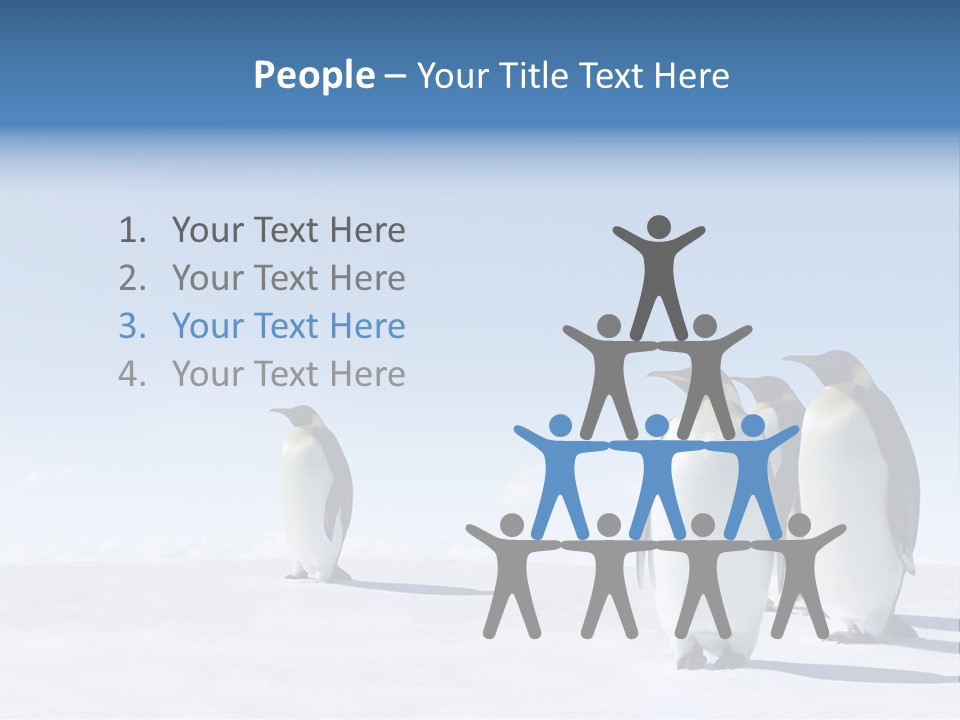 A Group Of Penguins Standing Next To Each Other PowerPoint Template