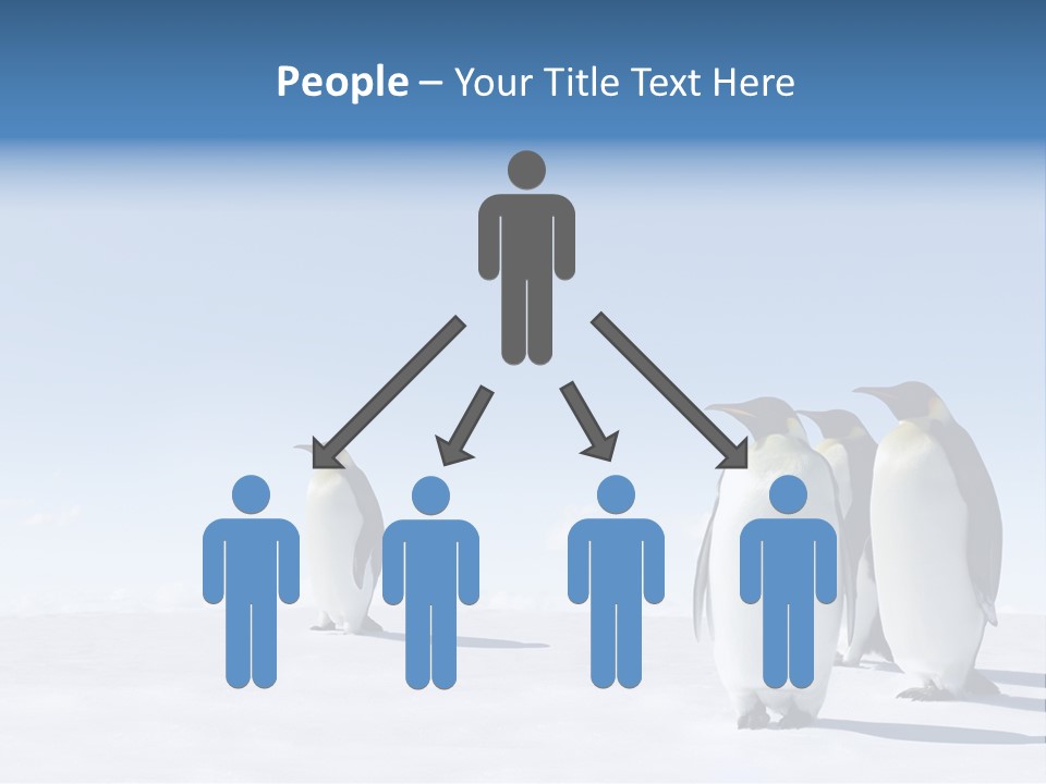 A Group Of Penguins Standing Next To Each Other PowerPoint Template