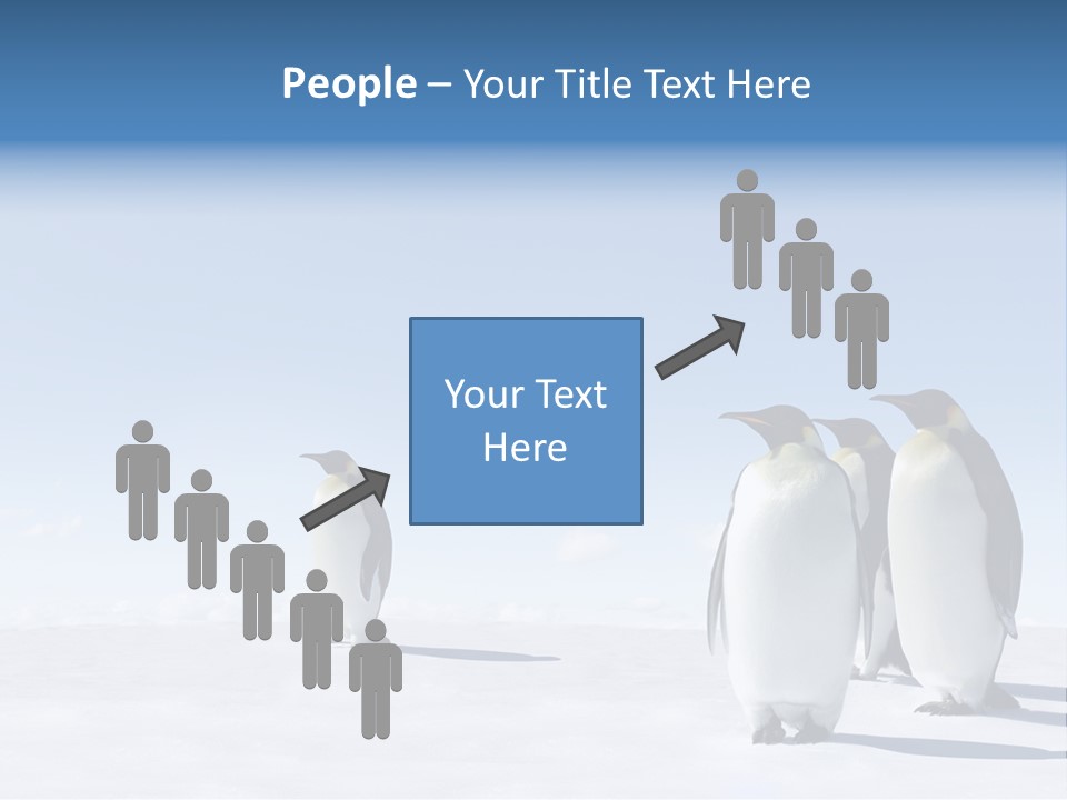 A Group Of Penguins Standing Next To Each Other PowerPoint Template