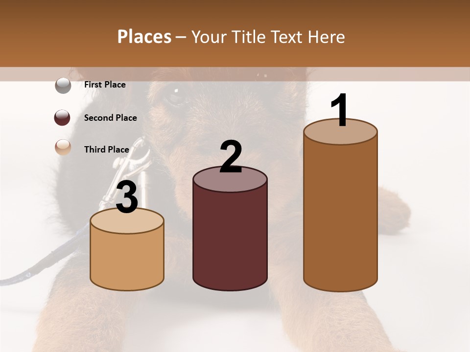 Sweet Adorable Eyes PowerPoint Template