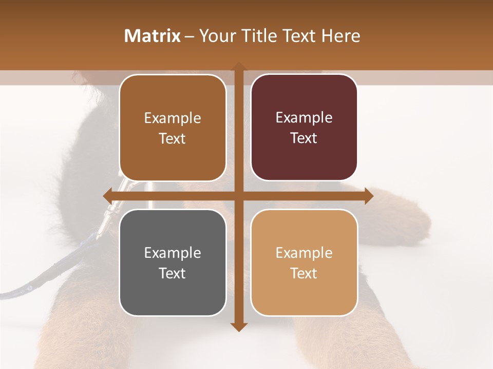 Sweet Adorable Eyes PowerPoint Template