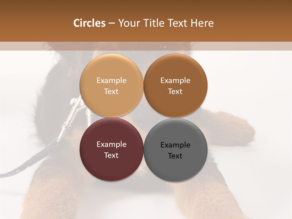 Sweet Adorable Eyes PowerPoint Template