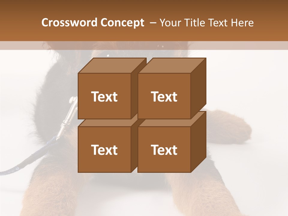 Sweet Adorable Eyes PowerPoint Template