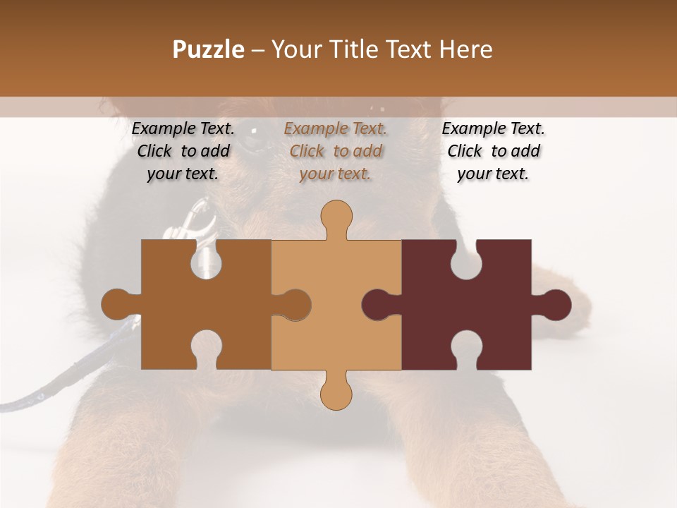 Sweet Adorable Eyes PowerPoint Template