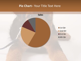 Sweet Adorable Eyes PowerPoint Template