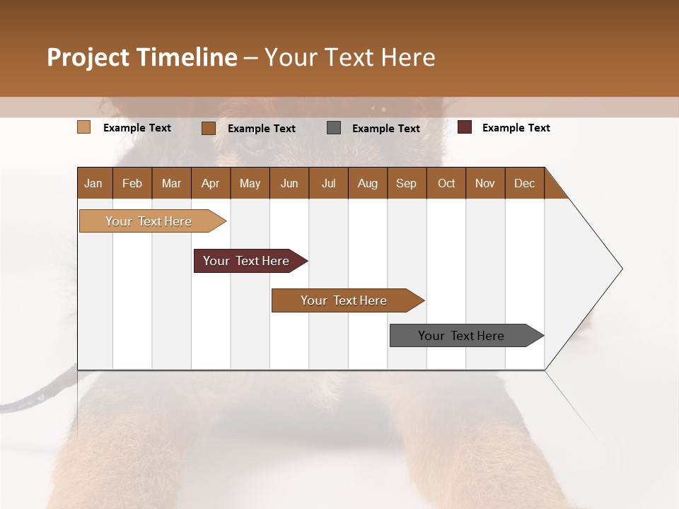 Sweet Adorable Eyes PowerPoint Template