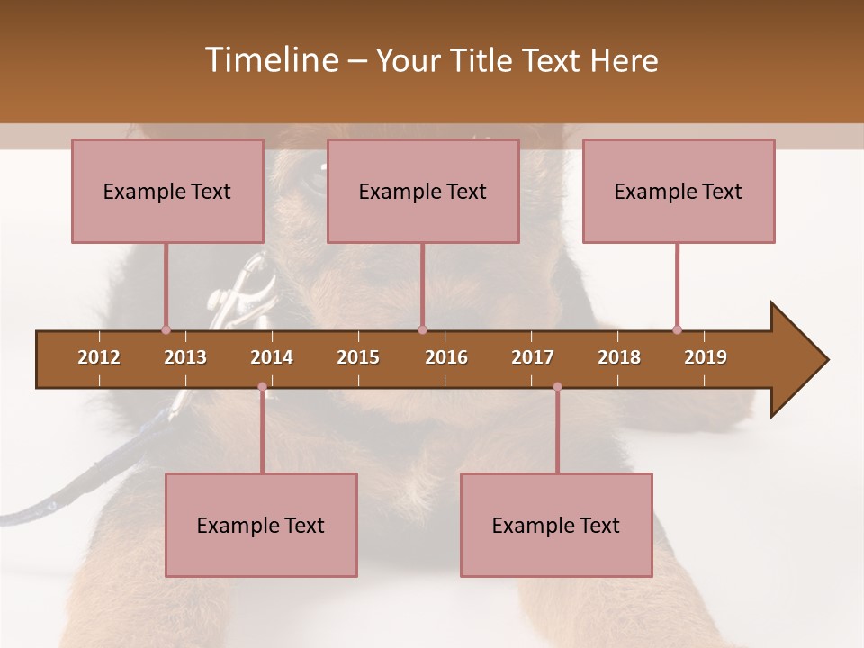 Sweet Adorable Eyes PowerPoint Template