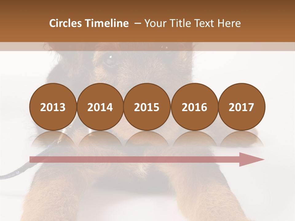 Sweet Adorable Eyes PowerPoint Template