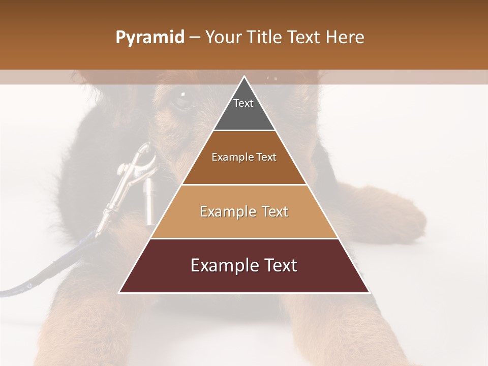 Sweet Adorable Eyes PowerPoint Template