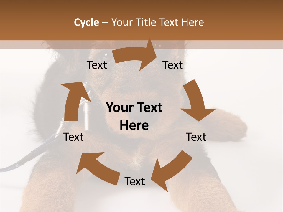 Sweet Adorable Eyes PowerPoint Template