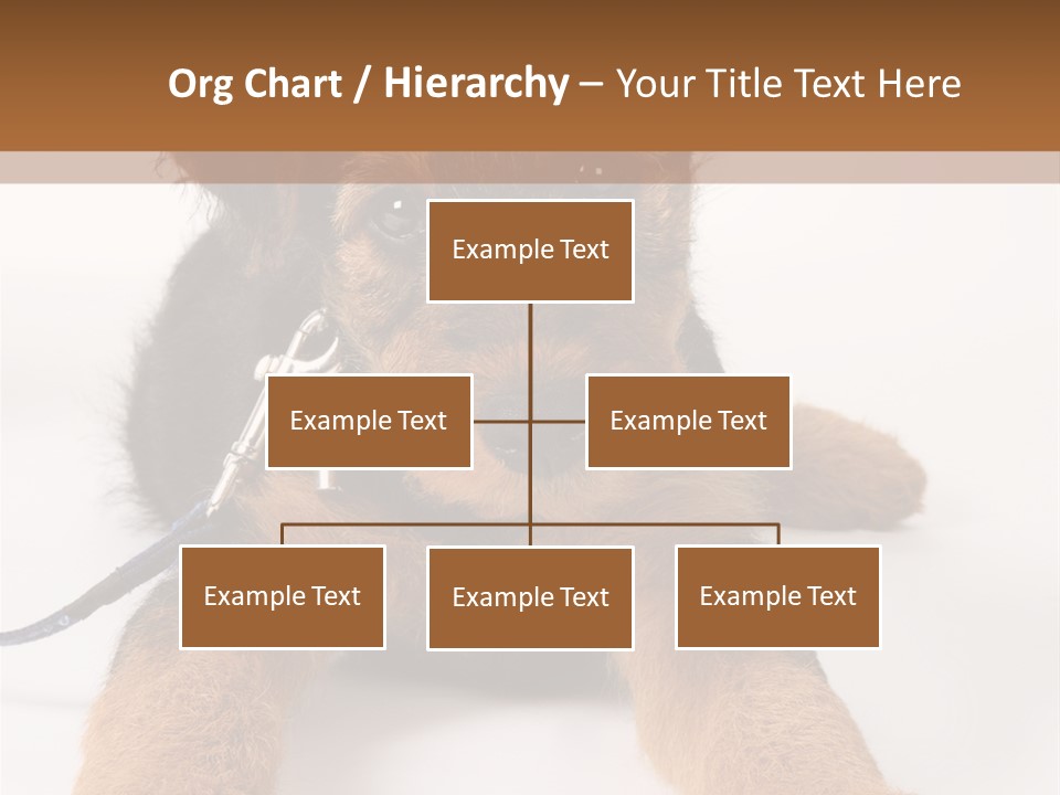 Sweet Adorable Eyes PowerPoint Template