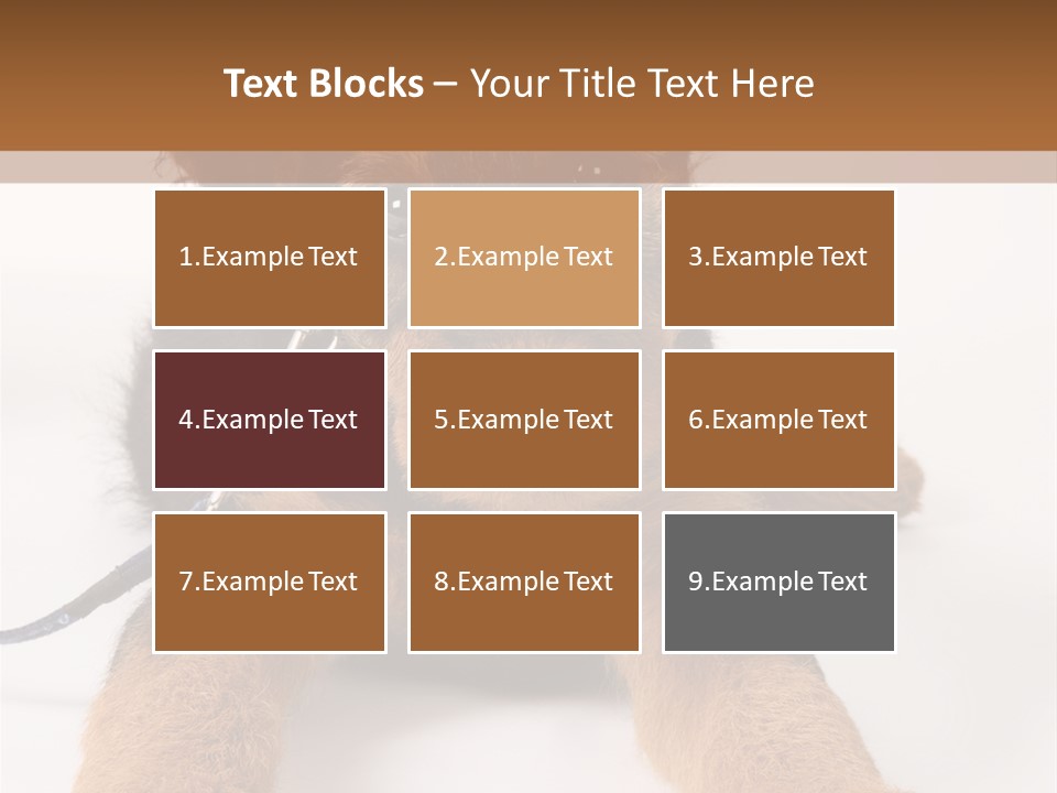 Sweet Adorable Eyes PowerPoint Template