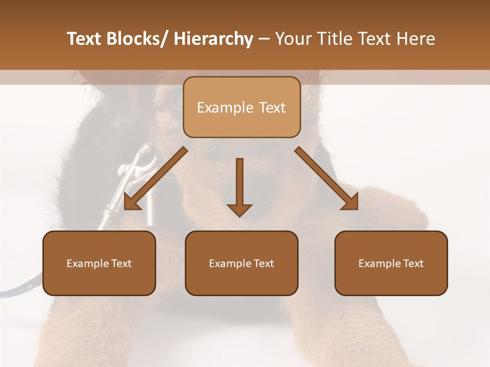 Sweet Adorable Eyes PowerPoint Template