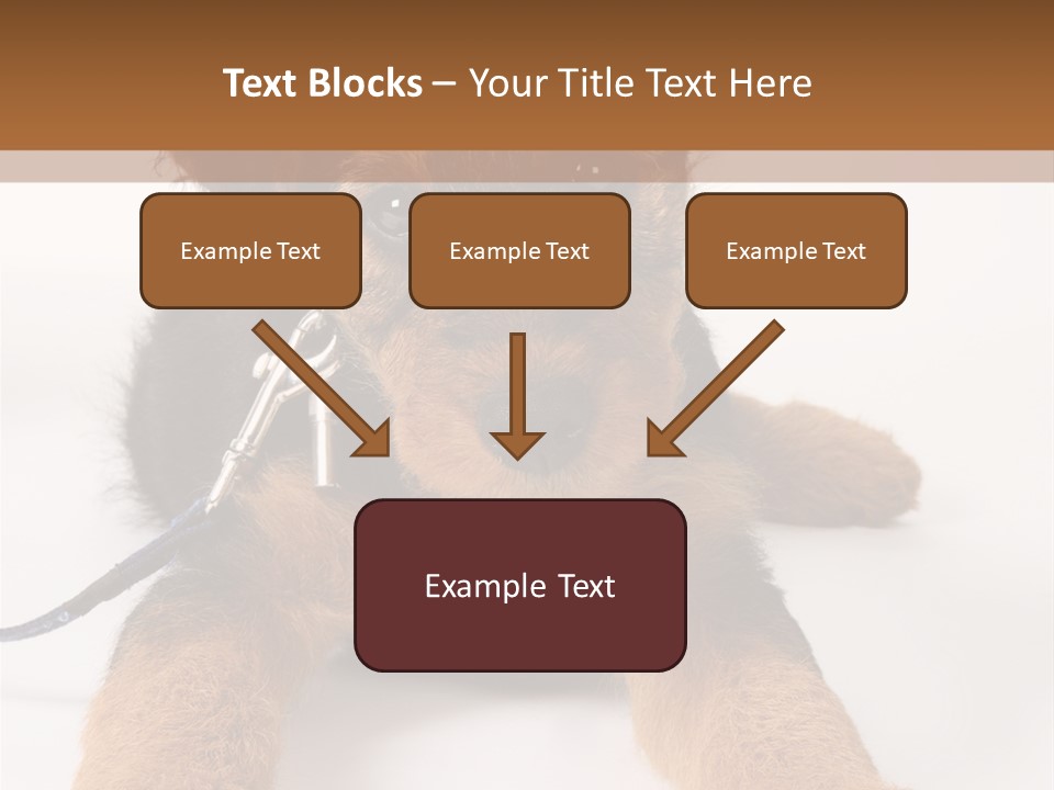 Sweet Adorable Eyes PowerPoint Template