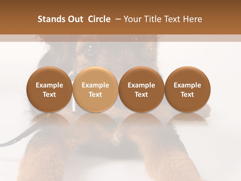 Sweet Adorable Eyes PowerPoint Template