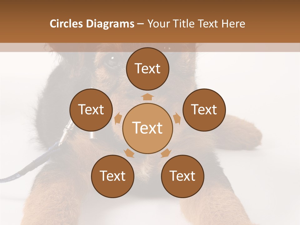 Sweet Adorable Eyes PowerPoint Template