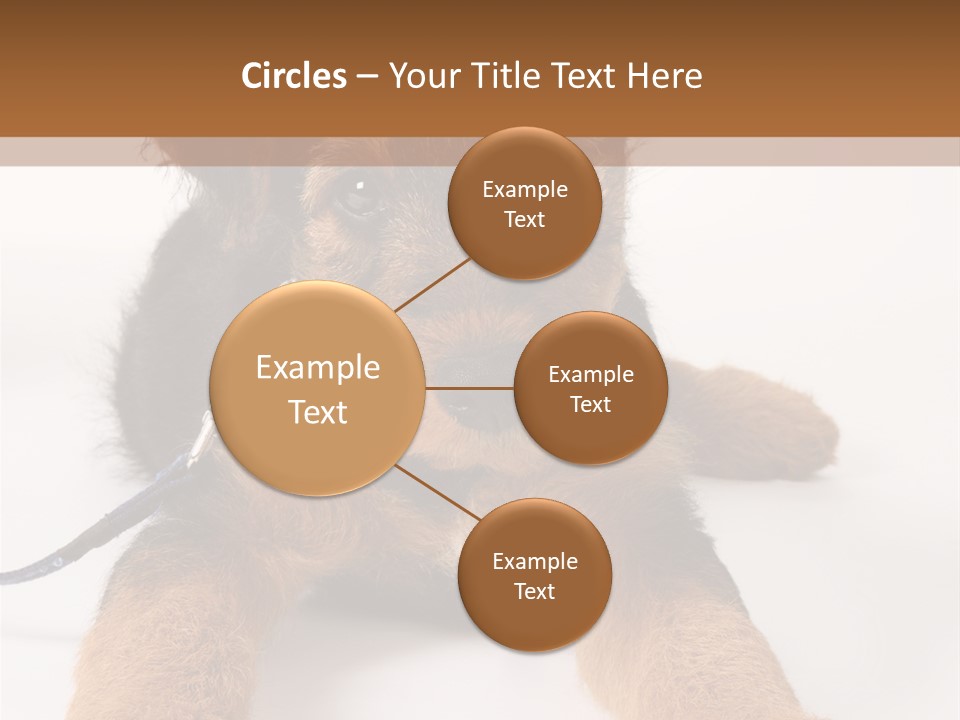 Sweet Adorable Eyes PowerPoint Template