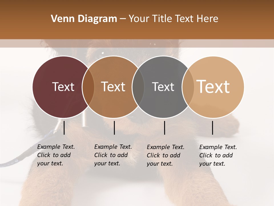 Sweet Adorable Eyes PowerPoint Template