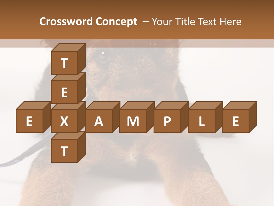 Sweet Adorable Eyes PowerPoint Template