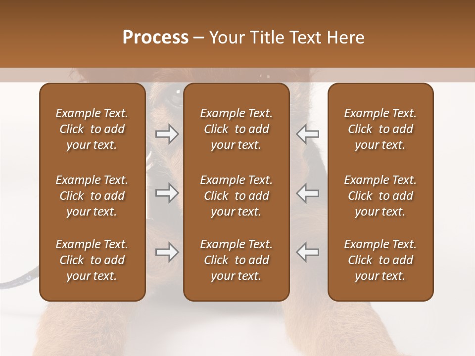 Sweet Adorable Eyes PowerPoint Template
