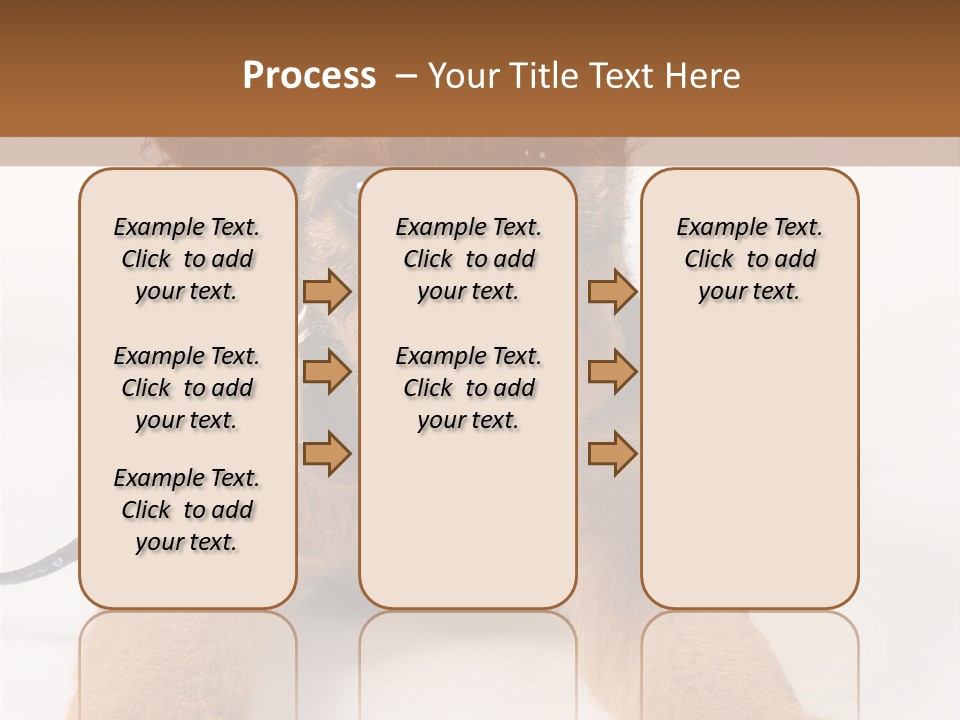 Sweet Adorable Eyes PowerPoint Template