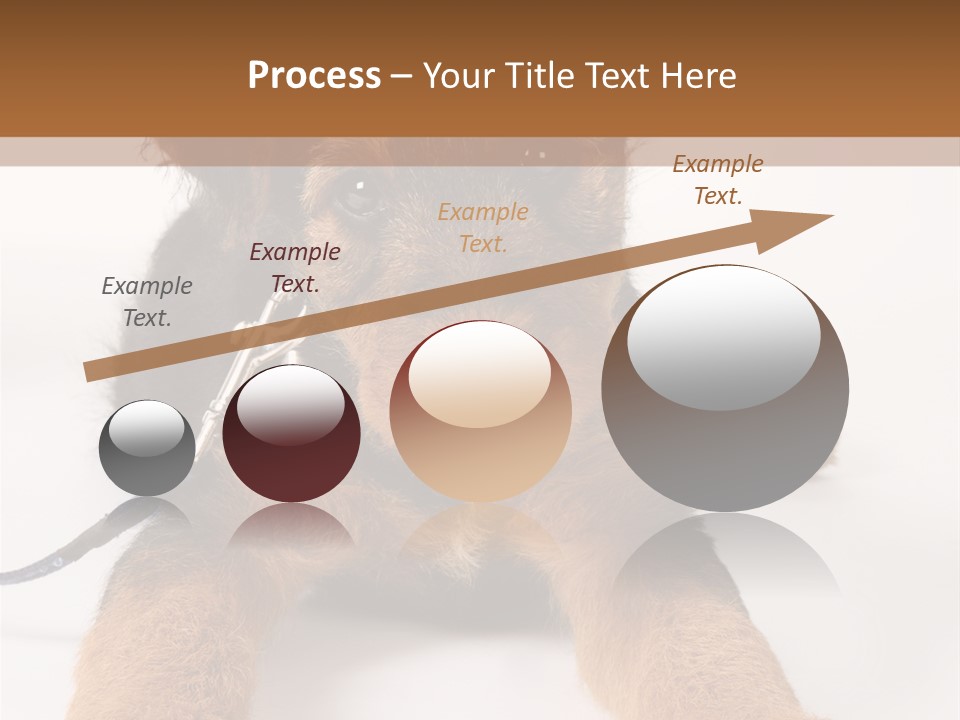 Sweet Adorable Eyes PowerPoint Template