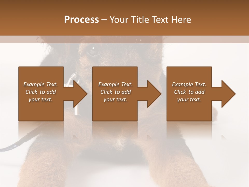 Sweet Adorable Eyes PowerPoint Template