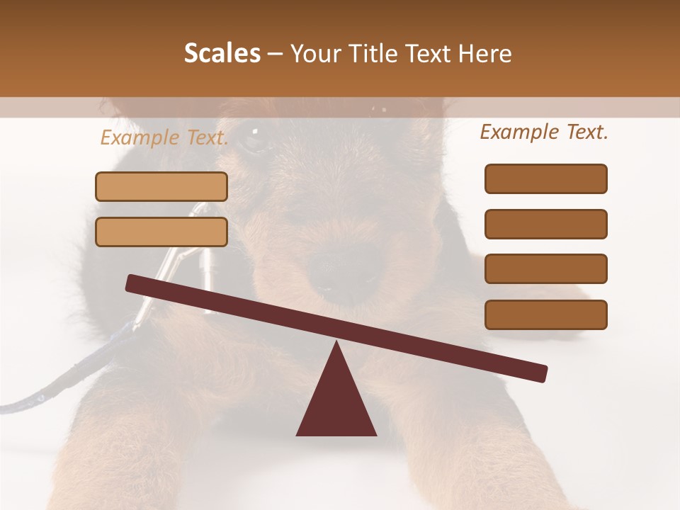 Sweet Adorable Eyes PowerPoint Template