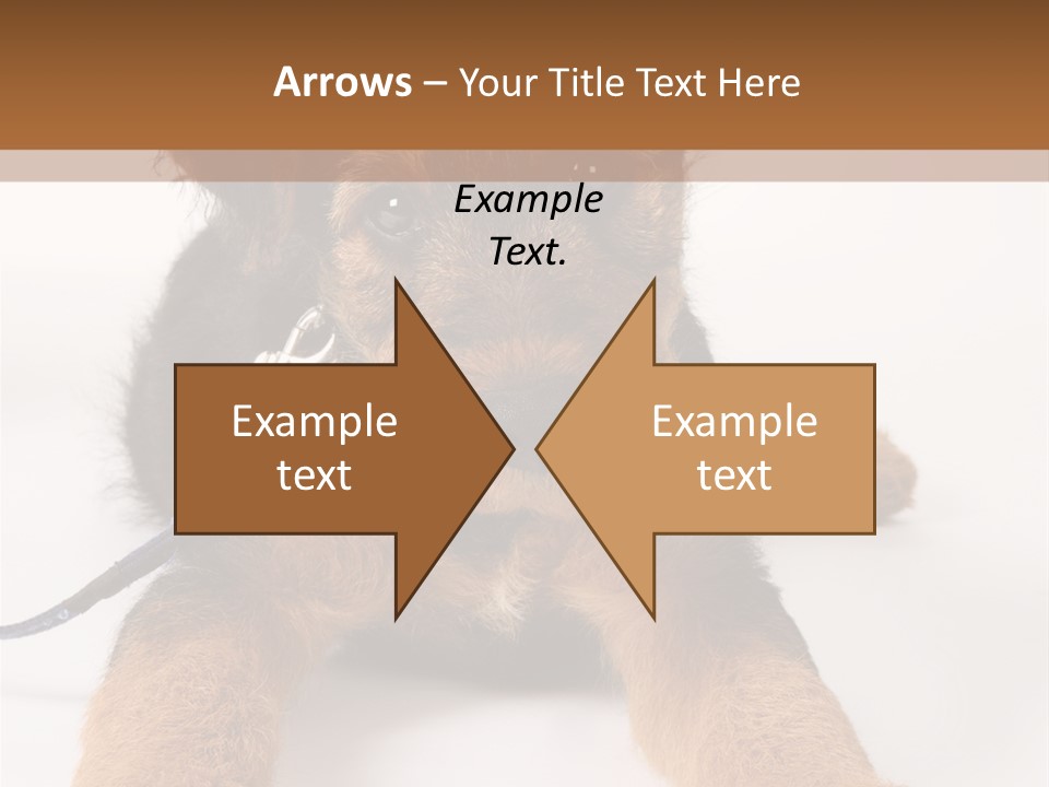Sweet Adorable Eyes PowerPoint Template