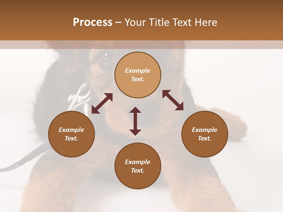Sweet Adorable Eyes PowerPoint Template