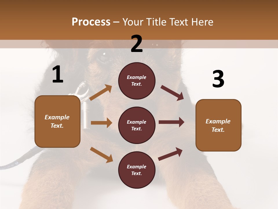 Sweet Adorable Eyes PowerPoint Template