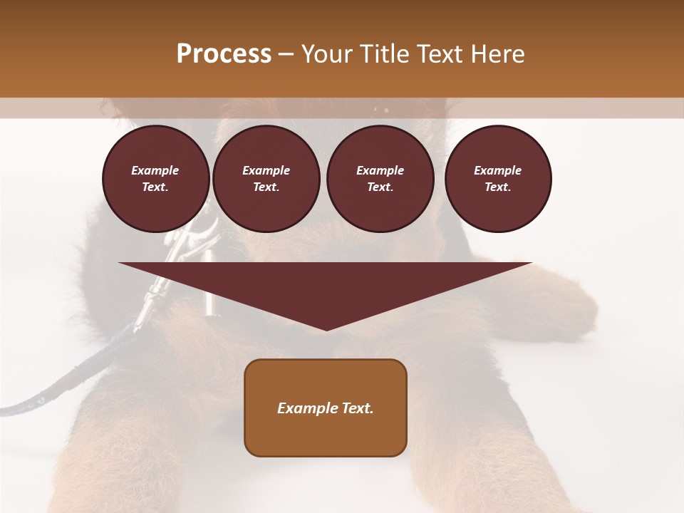 Sweet Adorable Eyes PowerPoint Template